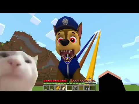 What is the HIGHEST STAIRCASE DOG OR HUGGY OR SPONGEBOB in Minecraft - Gameplay - Coffin Meme