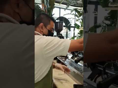 ## caffe latte ## Torrefadoras de café Toby's Estate Kuwait #
