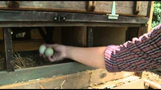 WAVE Magazine: Promo with Host