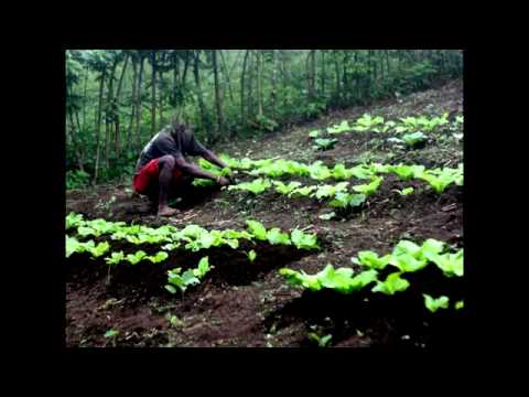 TIYARI EL HAYATI - MLIMADJI