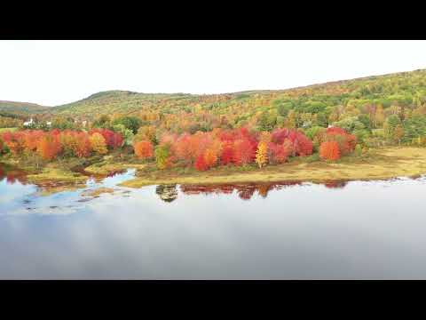 nature recent uploaded short live kulwinder Singh Kinder