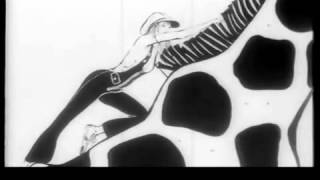 39 carosello terital