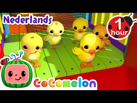 Eenden spelen in de speeltuin met de kinderen | CoComelon Nederlands - Kinderliedjes