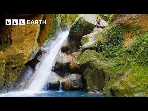 Romesh Ranganathan Explores Beautiful Haitian Waterfall | BBC Earth Explore