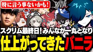 CR Reviveスクリム最終日！メデュからお墨付きの仕上がりを見せるバニラたち【VALORANT/バニラ/切り抜き】