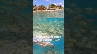 I love snorkelling and Vanuatu has some amazing underwater life! #cruisecrew #snorkelling