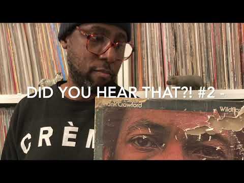 Did you hear that?! #2