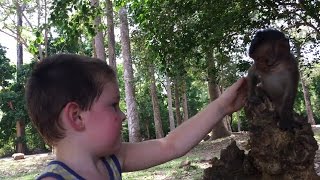 Lovely Boy Playing With Monkey Baby | Daily Monkeys Man #87