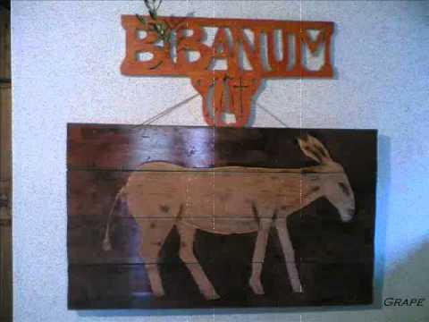 Dalmatino povišću pritrujena-Klapa Bibinje i Ante Sikirić