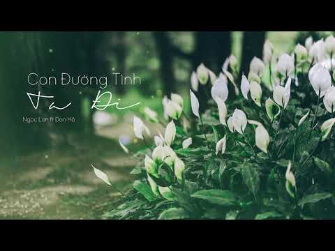 CON ĐƯỜNG TÌNH TA ĐI