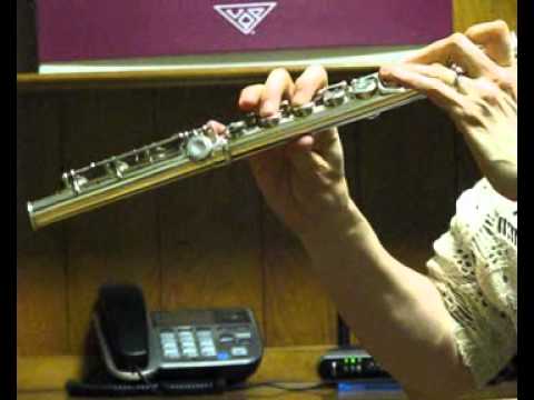 Pearl PF-761 Flute (Used) - Offset G, Split E - Mid to Low Range