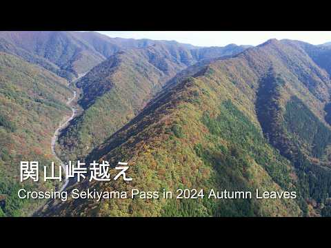 [4K]Crossing Sekiyama Pass in 2024 🍂 Autumn fallfoliage  / 関山峠越えの紅葉2024 🍁