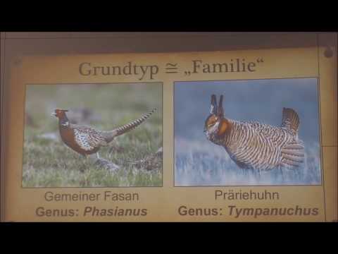 DIE ENTSTEHUNG DER ARTEN und Darwins Irrtum. Dr. Terry Mortenson von AiG spricht