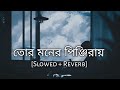 Tor Moner Pinjiray Jisan Khan Shuvo Slowed And Reverb Bengali Lofi 10 PM BENGALI LOFI
