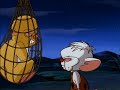 Pinky And The Brain Brain Vs Snowball Welcome To The Jungle