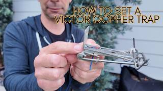 See How To Easily Set A Victor Gopher Trap For Success