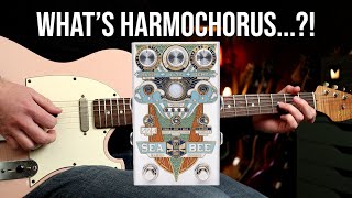 Video thumbnail for The Most Unique Chorus Pedal Ever?! | Beetronics Seabee Harmochorus Pedal Demo by Let's Play All