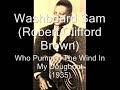 Washboard Sam-Who Pumped The Wind In My Doughnut