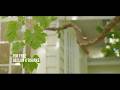 Declan O'Rourke ~ For Free (Official video)