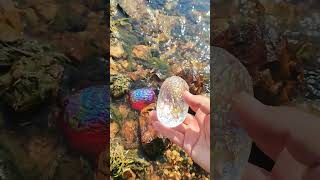 Sea Agate and Sea Crystal: Finding Hidden Treasures on the Shore and rare pearl