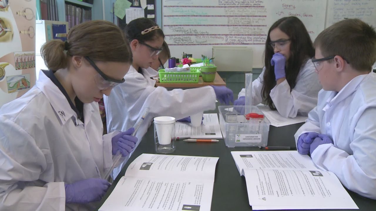 Pre-K kids doing science labs as part of unique hands-on program