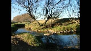 Alma Fuerte Con rumbo al abra