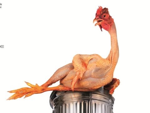 Trailer-Vorschau: Taste the Waste