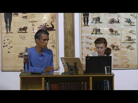 26. The Battle of Ipsus (Part 3)