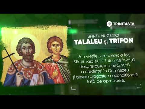 Sfinții Mucenici Talaleu și Trifon - 20 mai/1 februarie #Sinaxar