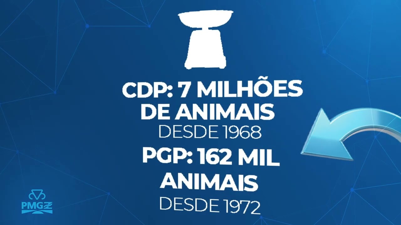 PMGZ PROMOCIONAL