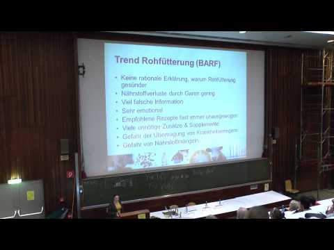 MINI MED TIERE - Richtige Ernährung von Haustieren. Häufige Fehler und Erkrankungen.