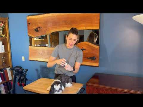 Zymox Ear Solution - Advanced Relief for Pet Ear Health #ZymoxEarCare, #PetHealth, #EarRelief