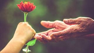 HANK SNOW - These Hands