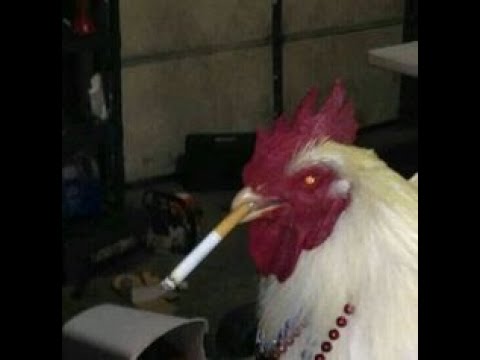 NEEL & Nasty Babe – Мона Лиза (DAVKA Remix)