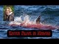 Deadly Shark Attack | Washington Woman Eaten Alive while Snorkeling in Hawaii - Full Video