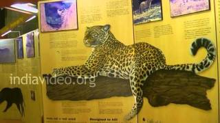 Museum at Sasan Gir National Park