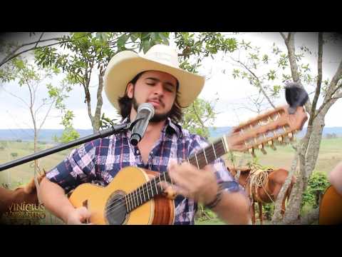 UM SONHO COM TIÃO CARREIRO - Vinícius Violeiro