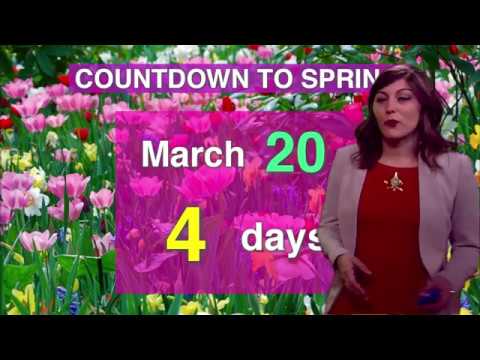 NewsLink Indiana, March 16, 2018 -Brandi Geister