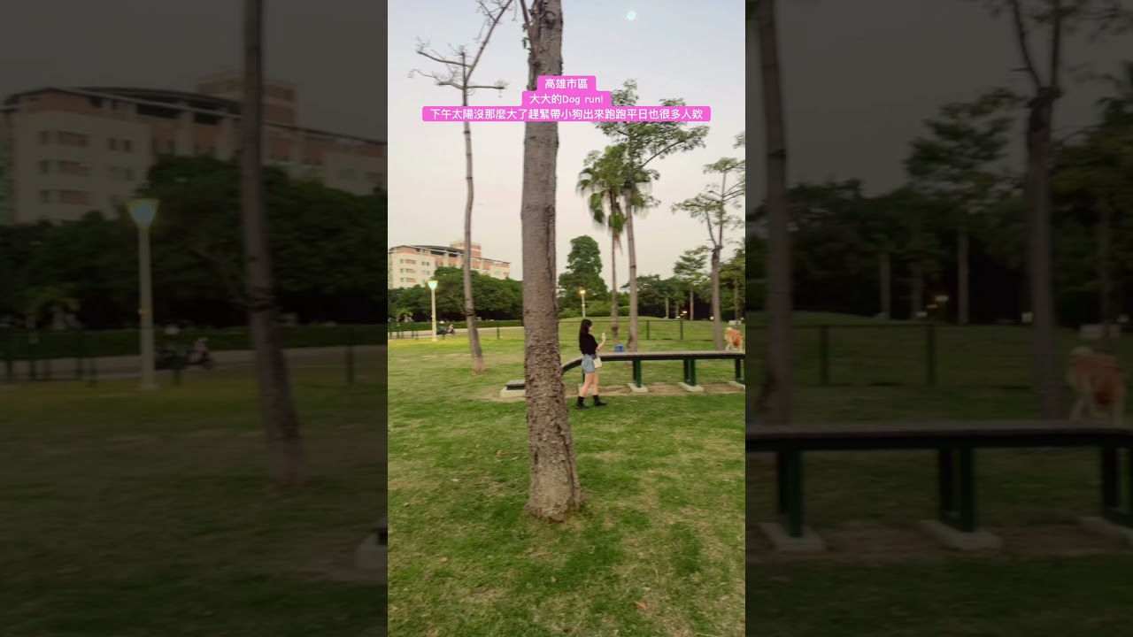 高雄市區的狗勾奔跑草地！平日也好多人來欸～看來寵物需求是高的！！！#台灣 #高雄 #狗狗草地#dogrun #dog #寵物友善日常