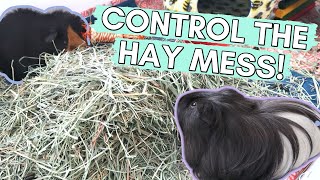 5 Tips to Control Hay Mess! 🌾