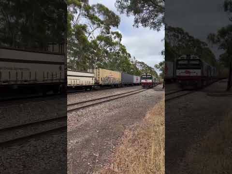 TRAINS AM22 SCT 1PM9 waits patiently for 3MP9 to pass at Belair, S. Australia 18/01/23
