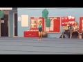 Kyra S Gymnastic Competition Routine