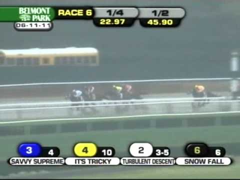 2011 Acorn Stakes