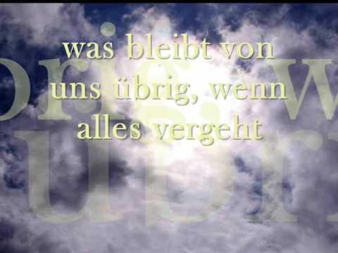 Die Suche geht weiter