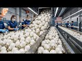 How Billions Of Light Bulbs Are Made Inside Massive Production Lines