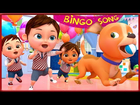 Bingo School Dog Song , Baby Shark , Wheels on the Bus , Happy Birthday Song - Banana Cartoon