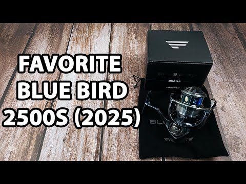 Котушка Favorite Blue Bird 2500S (2025), низькопрофільна шпуля, підшип. 9+1, швидкість: 5.2:1