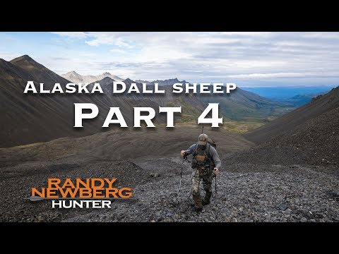 2018 Alaska Dall Sheep with Randy Newberg (Part 4 of 9)