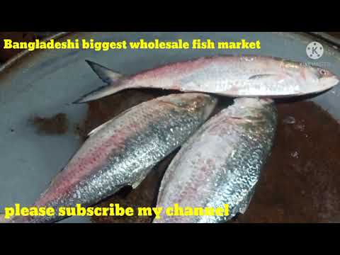 Amazing City Wholesale  Fish Market In Bangladesh |Lost Fresh Country Fishes Availa