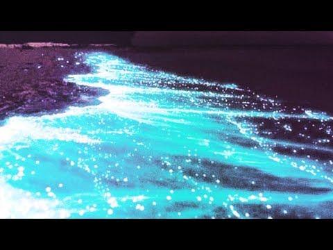 Peregrihn - Glow Tide